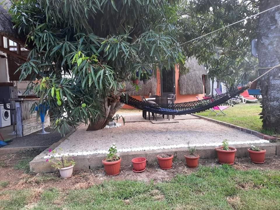 Cazhibiscus Bed & Breakfast Trou aux Biches Exterior photo
